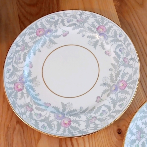 Paragon Fine Bone China dinner plates set of 2 Glen Ayn - Picture 2 of 5